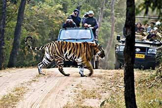 Corbett Deers Home, Corbett 2